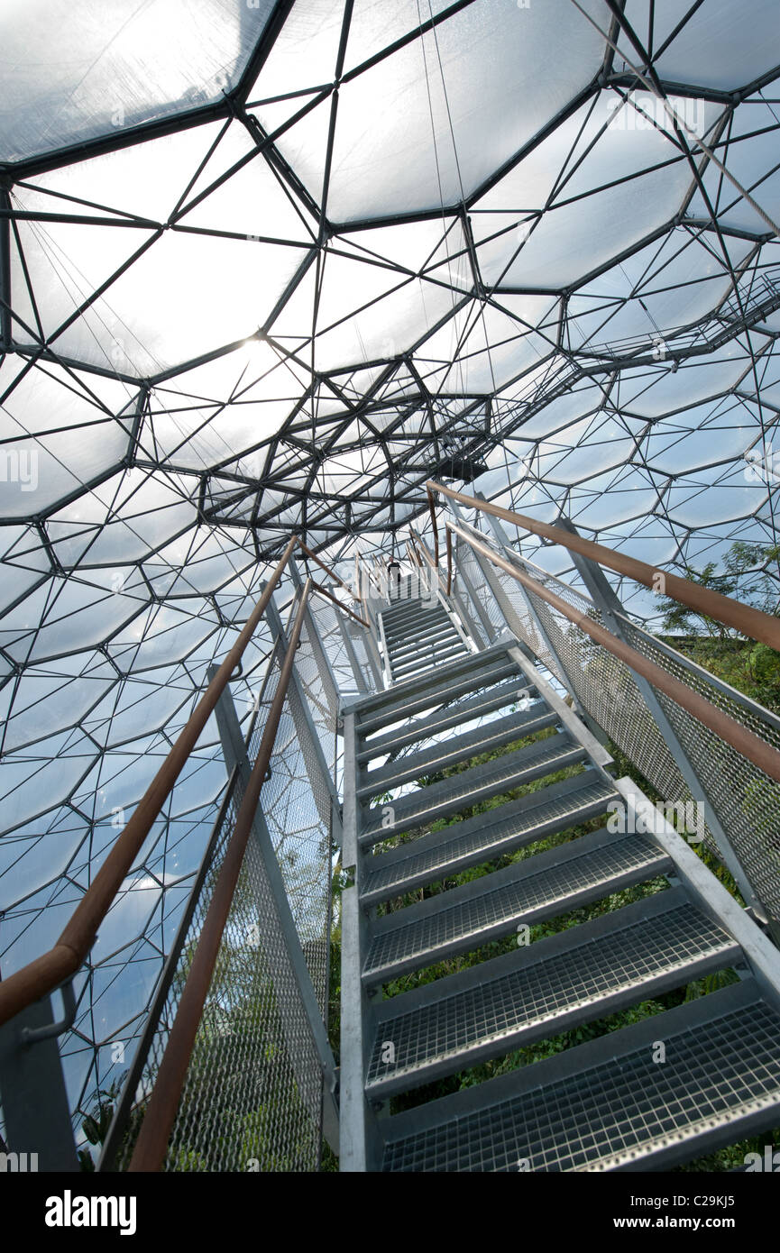 Una vista dei passi fino alla piattaforma di osservazione nella foresta pluviale Biome all'Eden Project, Cornwall, Regno Unito Foto Stock