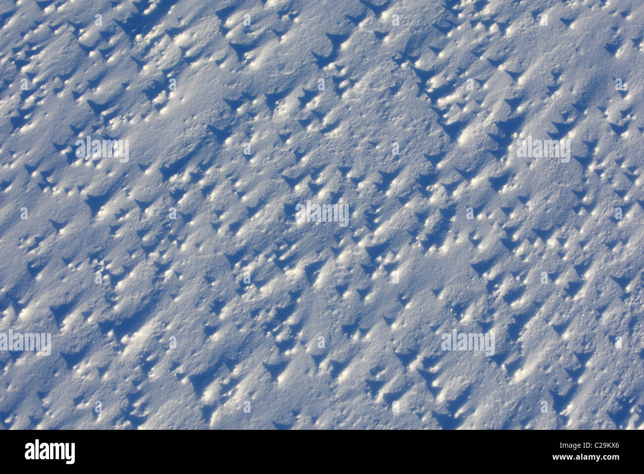 Close up spazzate dal vento i dettagli di neve Foto Stock