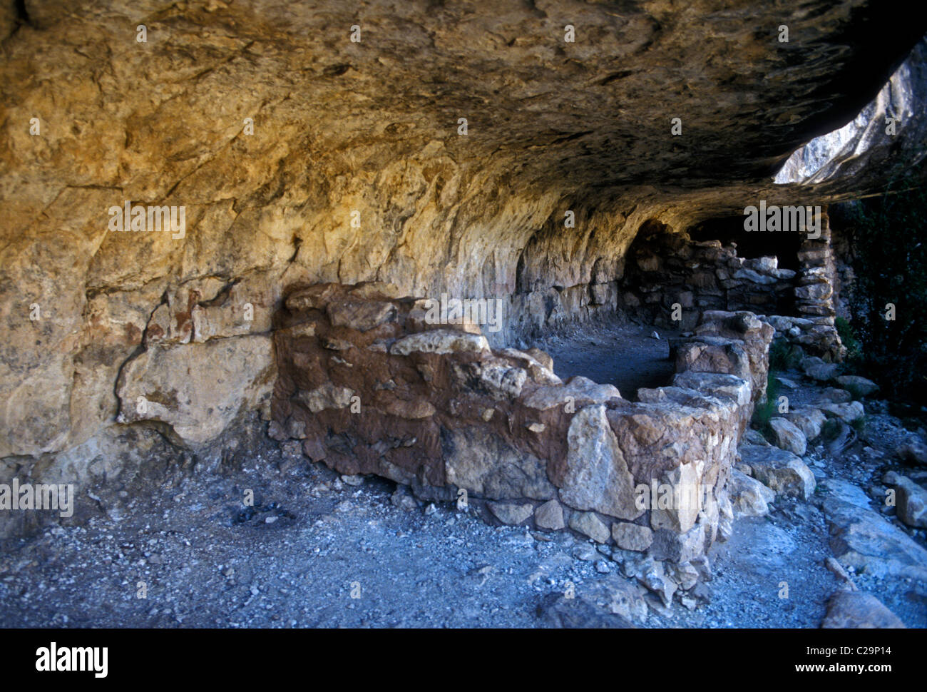 Indiani Sinagua cliff abitazione, Walnut Canyon National Monument, Coconino County, Arizona, Stati Uniti, America del Nord Foto Stock