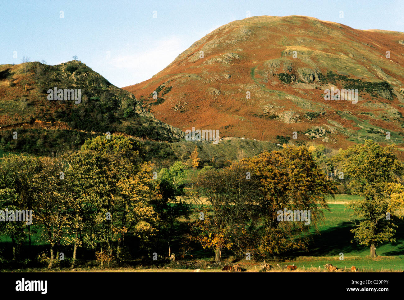 Ochil Hills, Colore di autunno, autunnale, Scozia, Clackmannanshire REGNO UNITO Scottish paesaggio paesaggio stagioni autunno stagione Foto Stock