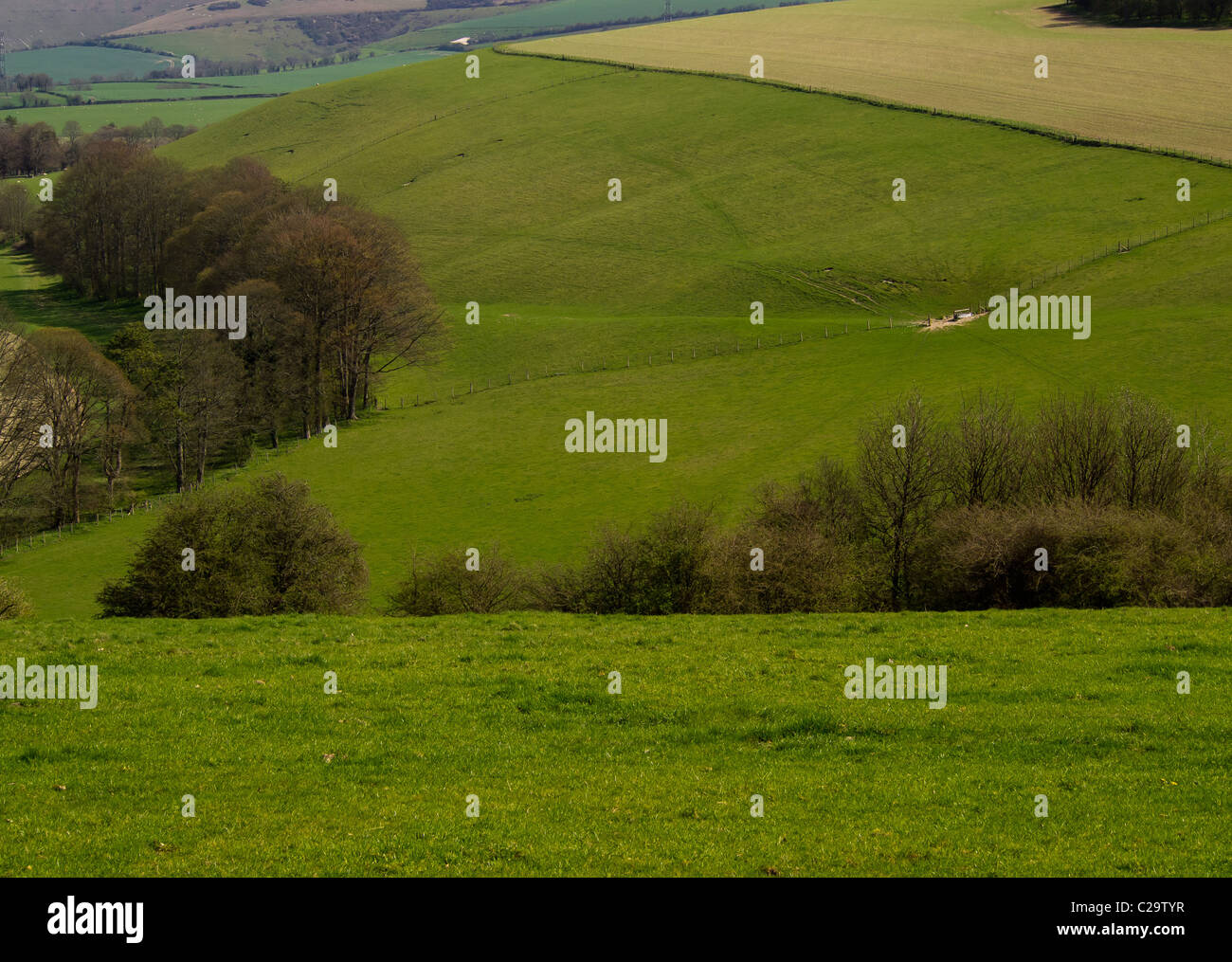 Terreni agricoli a vecchio Winchester Hill nel South Downs National Park in Hampshire Foto Stock