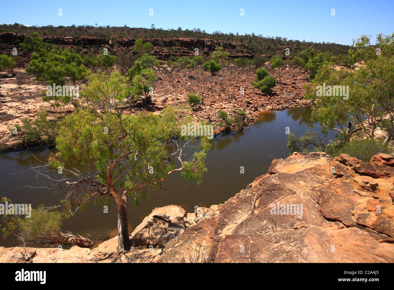 Fiume, Kalbarri Kalbarri Gorge, Western Australia. Foto Stock