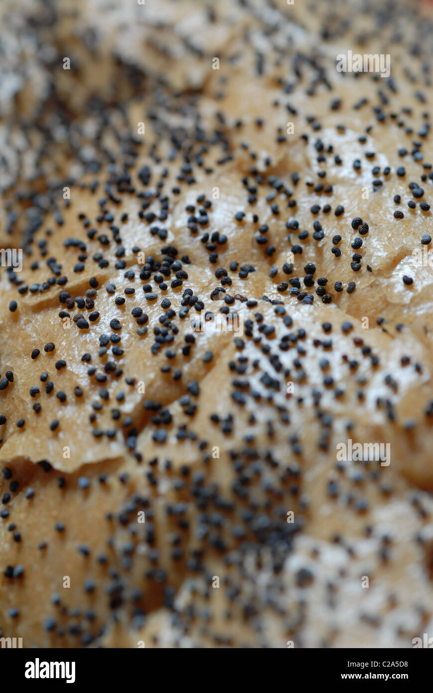 Appena cotto bianco pane croccante con semi di papavero. Foto Stock