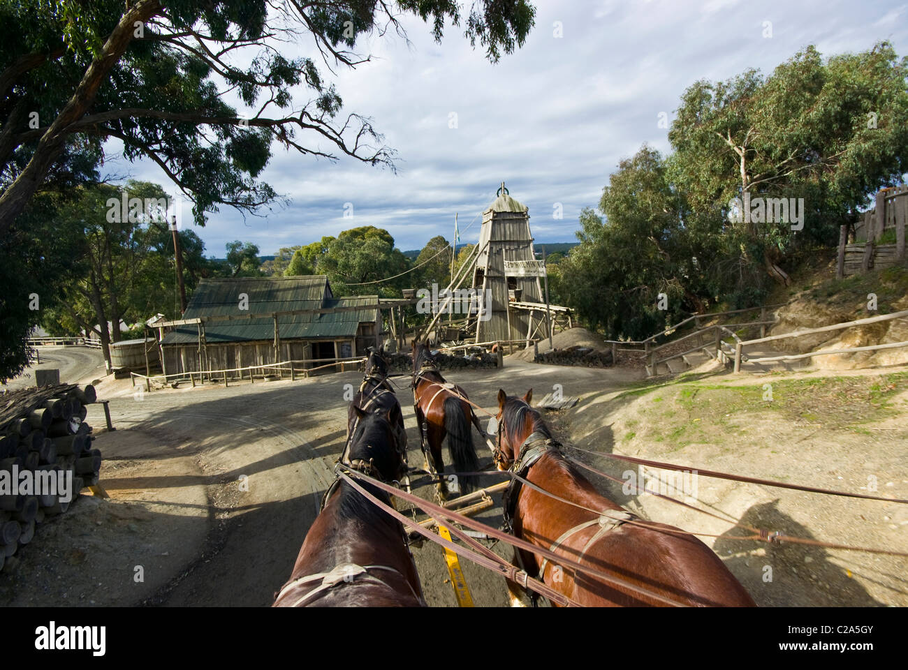 Un team di cavalli Clydesdale tirare un stagecoach in oro una città mineraria. Foto Stock