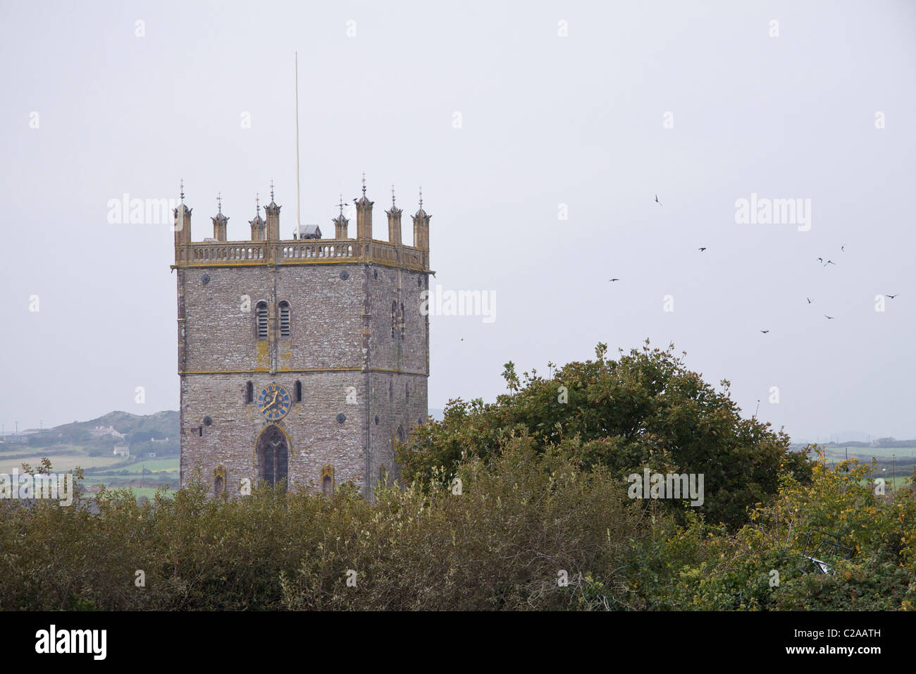 La pietra costruito la torre di St Davids cathedral (gallese - Eglwys Gadeiriol Tyddewi) con un branco di corvi che volano sopra gli alberi Foto Stock