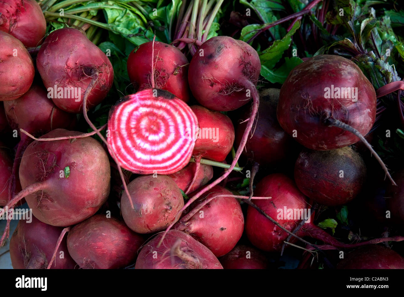 Beta vulgars Chioggia barbabietole Foto Stock