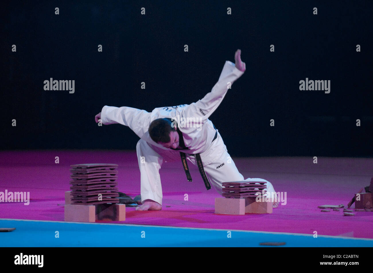 Taekwondo da Michel Carron al Festival des Arts Martiaux de Bercy di Parigi. Foto Stock
