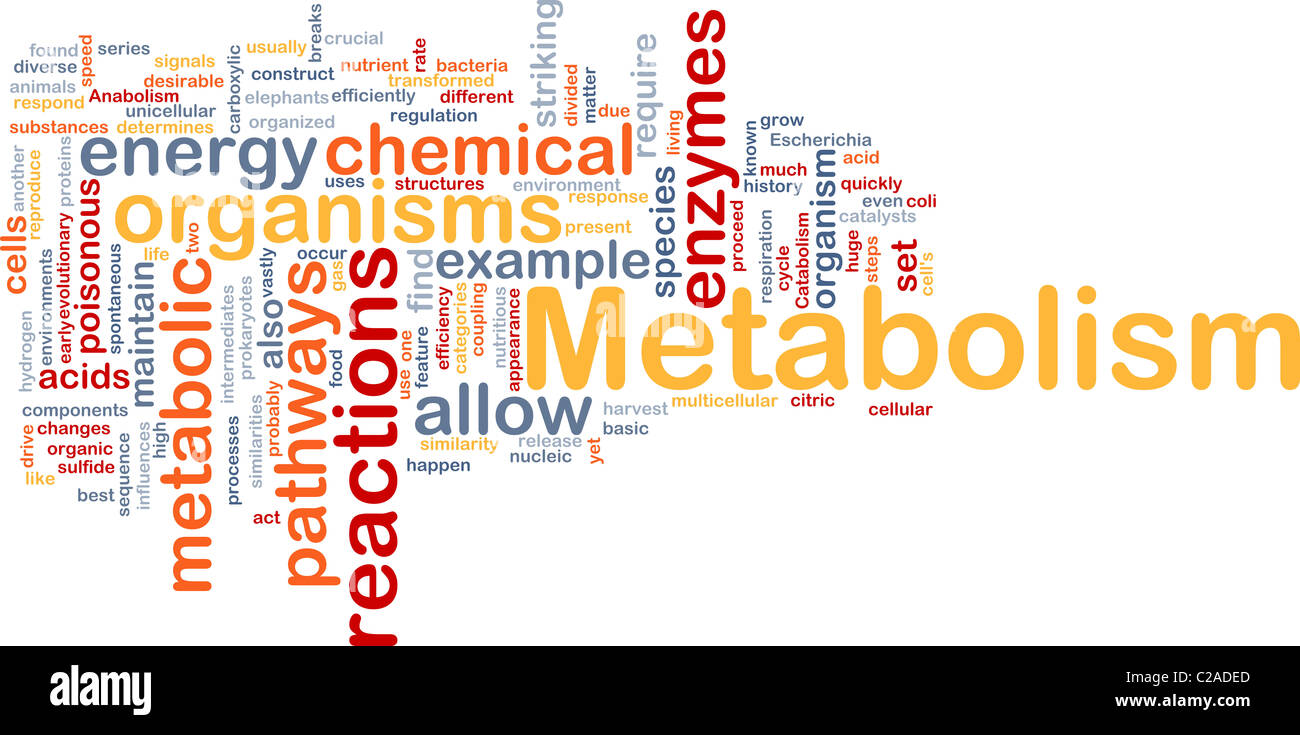 Concetto di sfondo wordcloud illustrazione del metabolismo metabolic Foto Stock