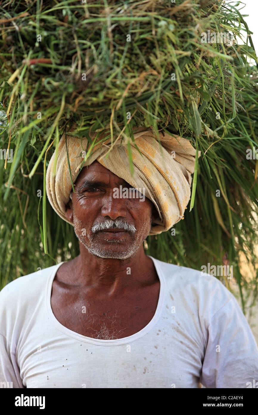 Uomo indiano con erba sulla testa e il bastone in mano Andhra Pradesh in India del Sud Foto Stock