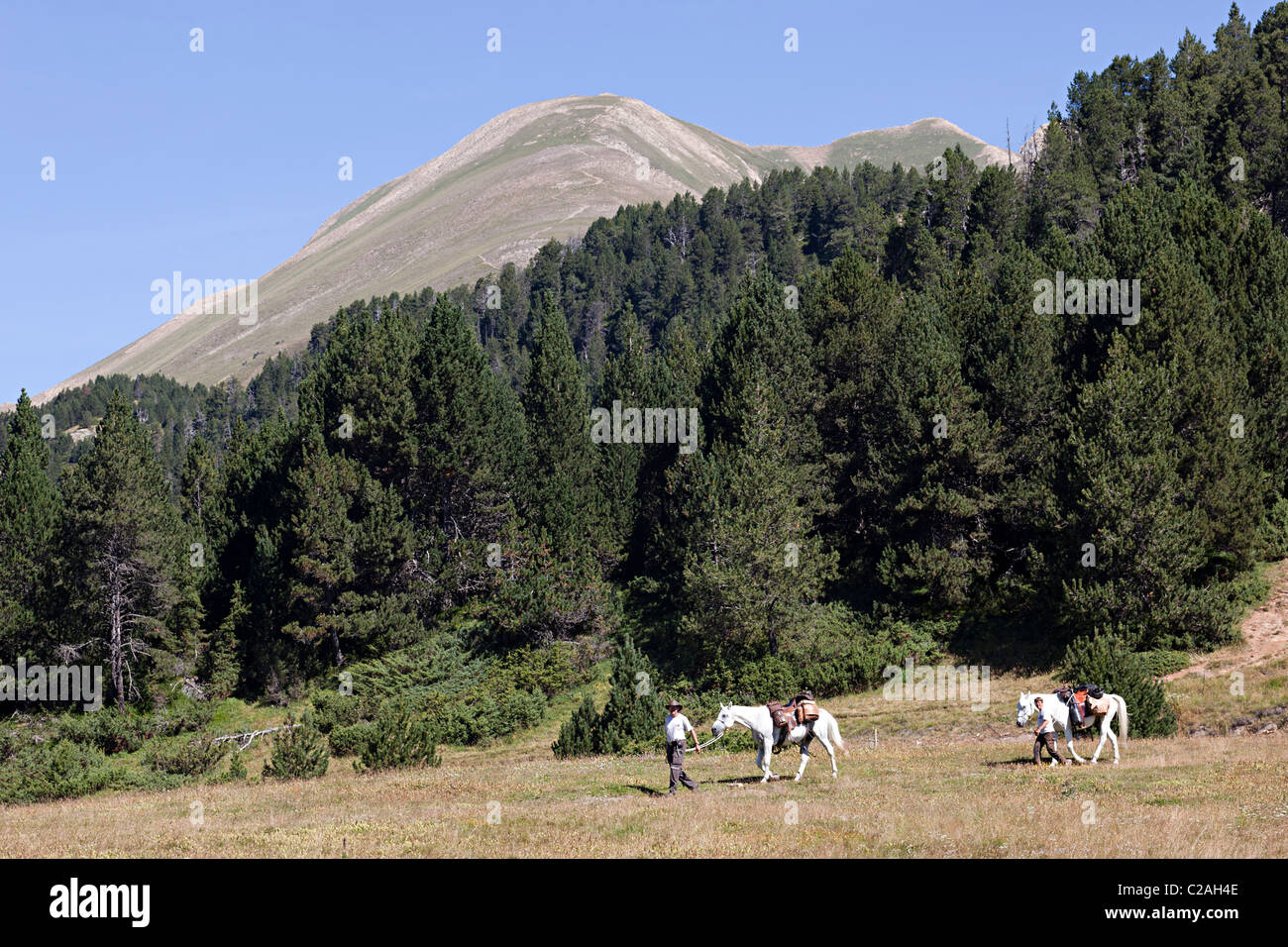 I due piloti con i cavalli Coll d'Ordino Andorra Foto Stock