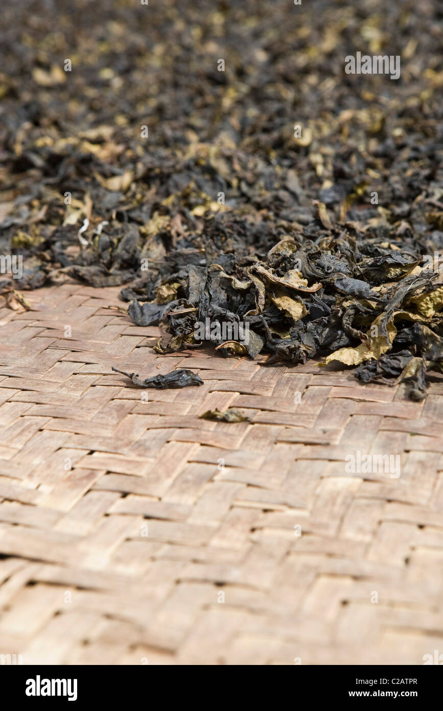 Essiccate le foglie di tè Foto Stock