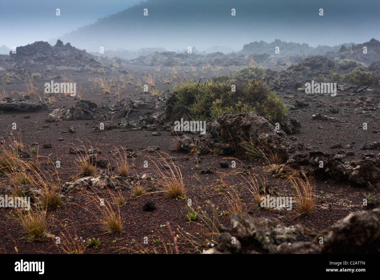 Plaine des Sables vicino a Piton de la Fournaise vulcano, Reunion (dipartimento francese d' oltremare nell'Oceano Indiano) Foto Stock