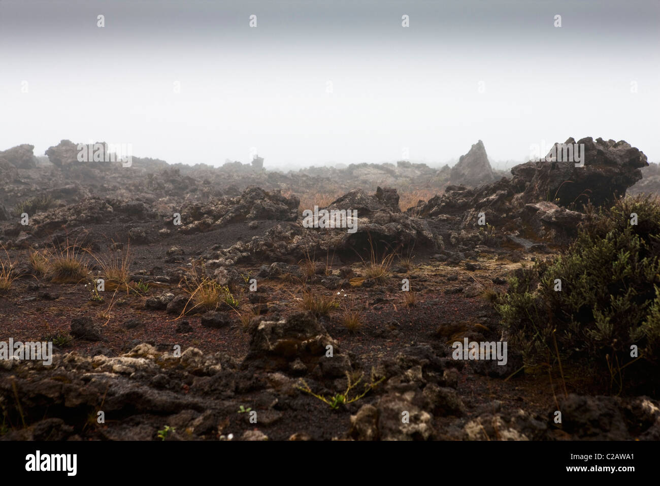 Plaine des Sables vicino a Piton de la Fournaise vulcano, Reunion (dipartimento francese d' oltremare nell'Oceano Indiano) Foto Stock