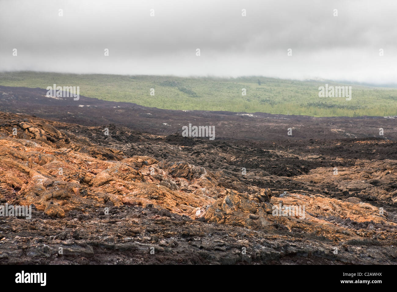 Campo di lava, Plaine des Sables, Reunion (dipartimento francese d' oltremare situato nell'Oceano Indiano) Foto Stock