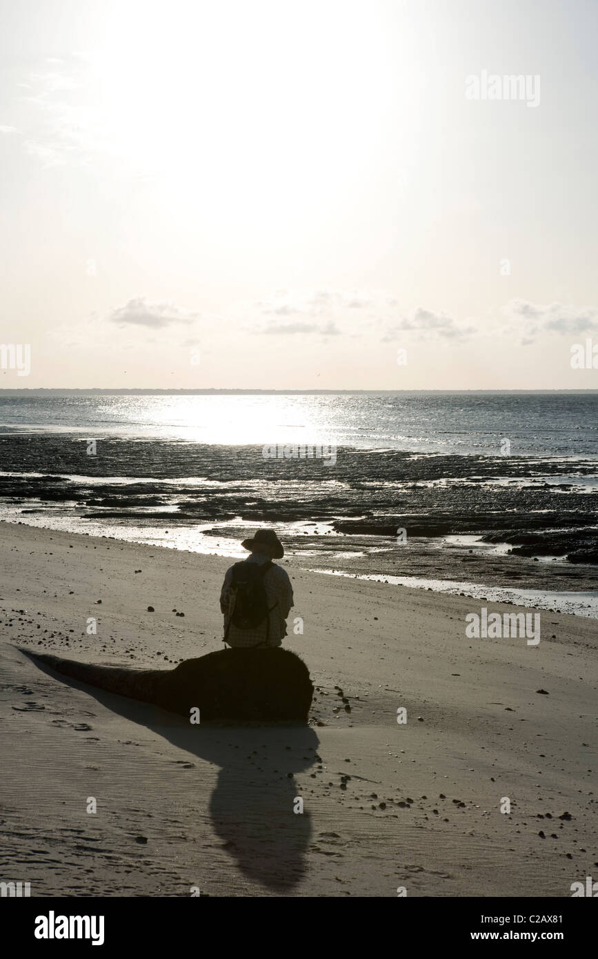 Persona seduta da sola in spiaggia, Amazon, Sud America Foto stock - Alamy
