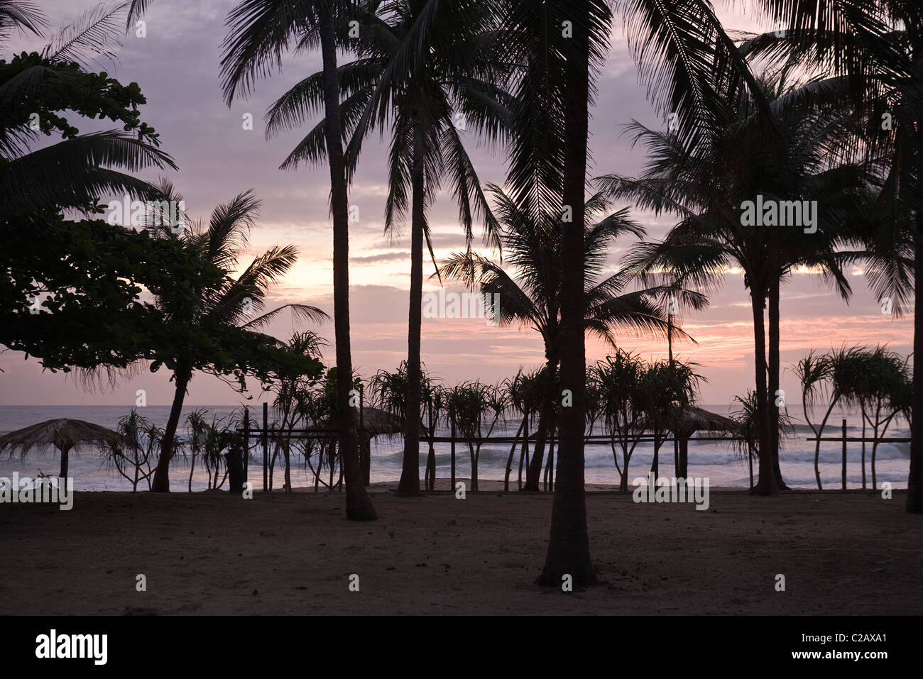 Tramonto con silhouette di palme, la baia del Bengala, Myanmar Foto Stock