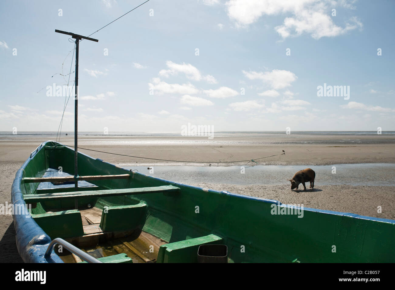Sud America, Amazon, a filamento in barca sulla spiaggia, maiale in background Foto Stock