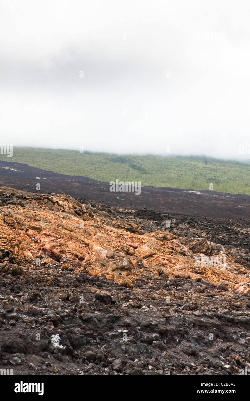 Campo di lava, Plaine des Sables, Reunion (dipartimento francese d' oltremare situato nell'Oceano Indiano) Foto Stock