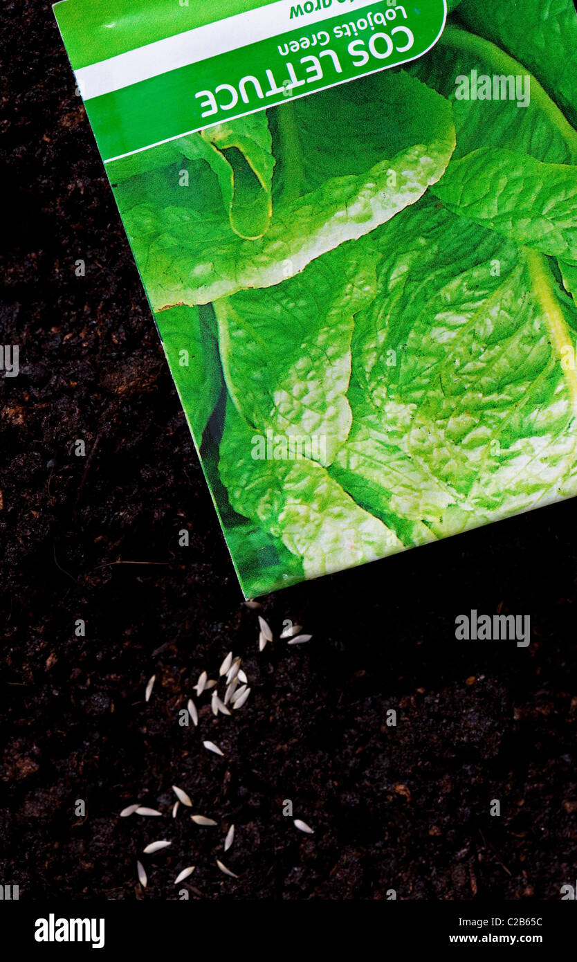 Pacchetto di sementi e cos i semi di lattuga sul compost terreno pronto per la semina Foto Stock