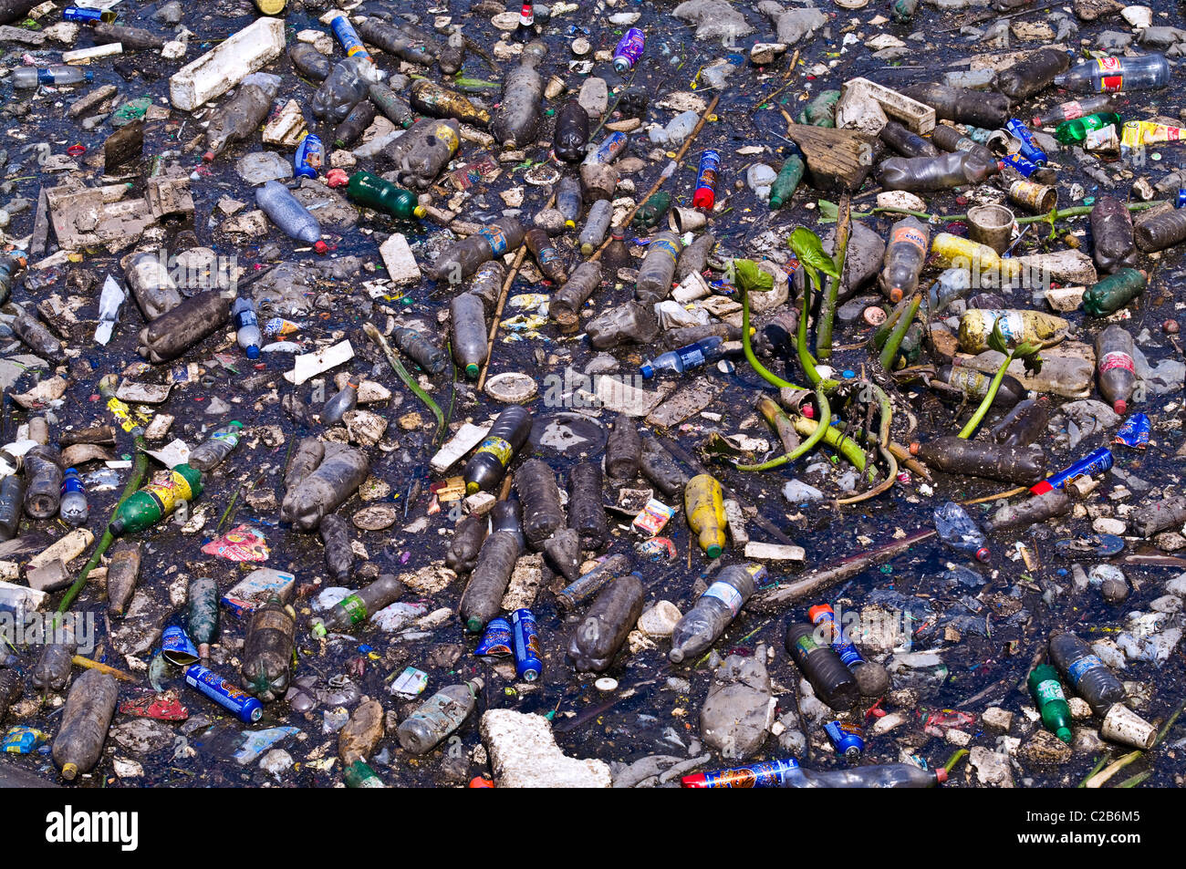 Un fiume acquatiche impianto circondato da bottiglie di plastica e inquinamento. Foto Stock