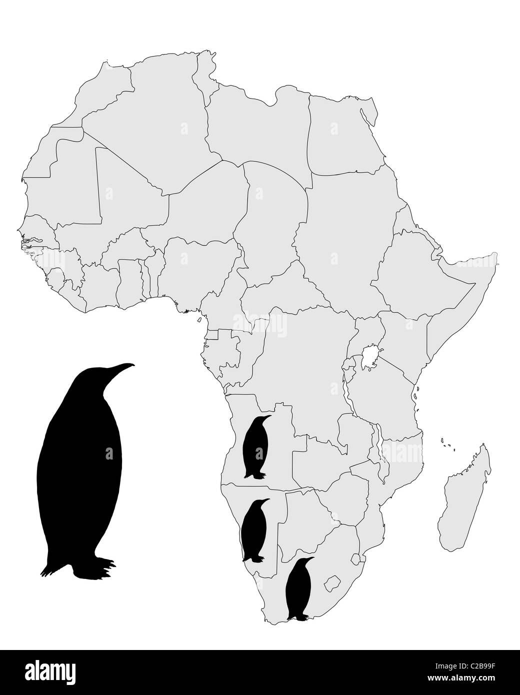 In Africa la gamma dei pinguini Foto Stock