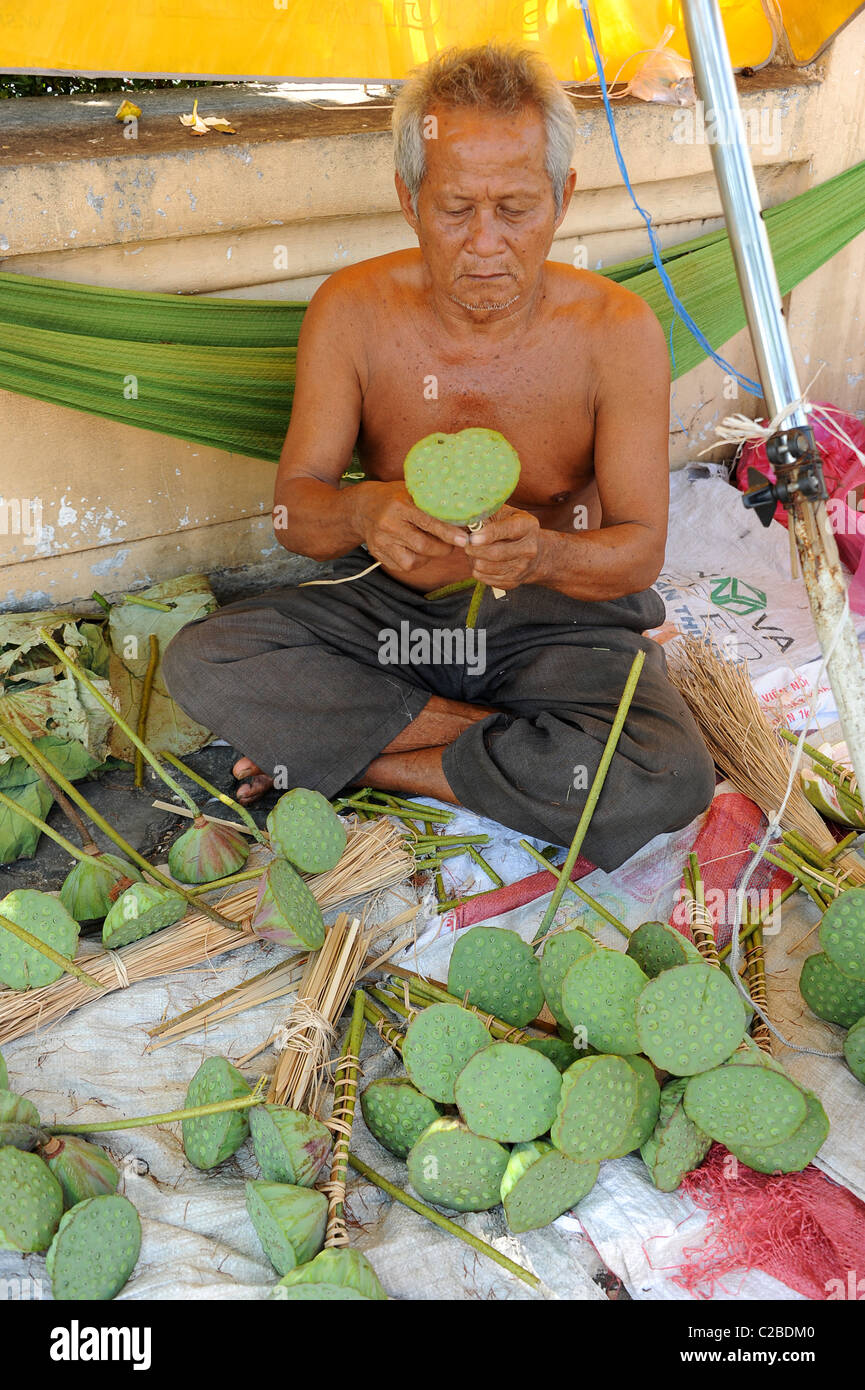Uomo seduto sul marciapiede in Phnom Penh vendere sementi baccelli del sacro lotus impianto. Cambogia. Foto Stock