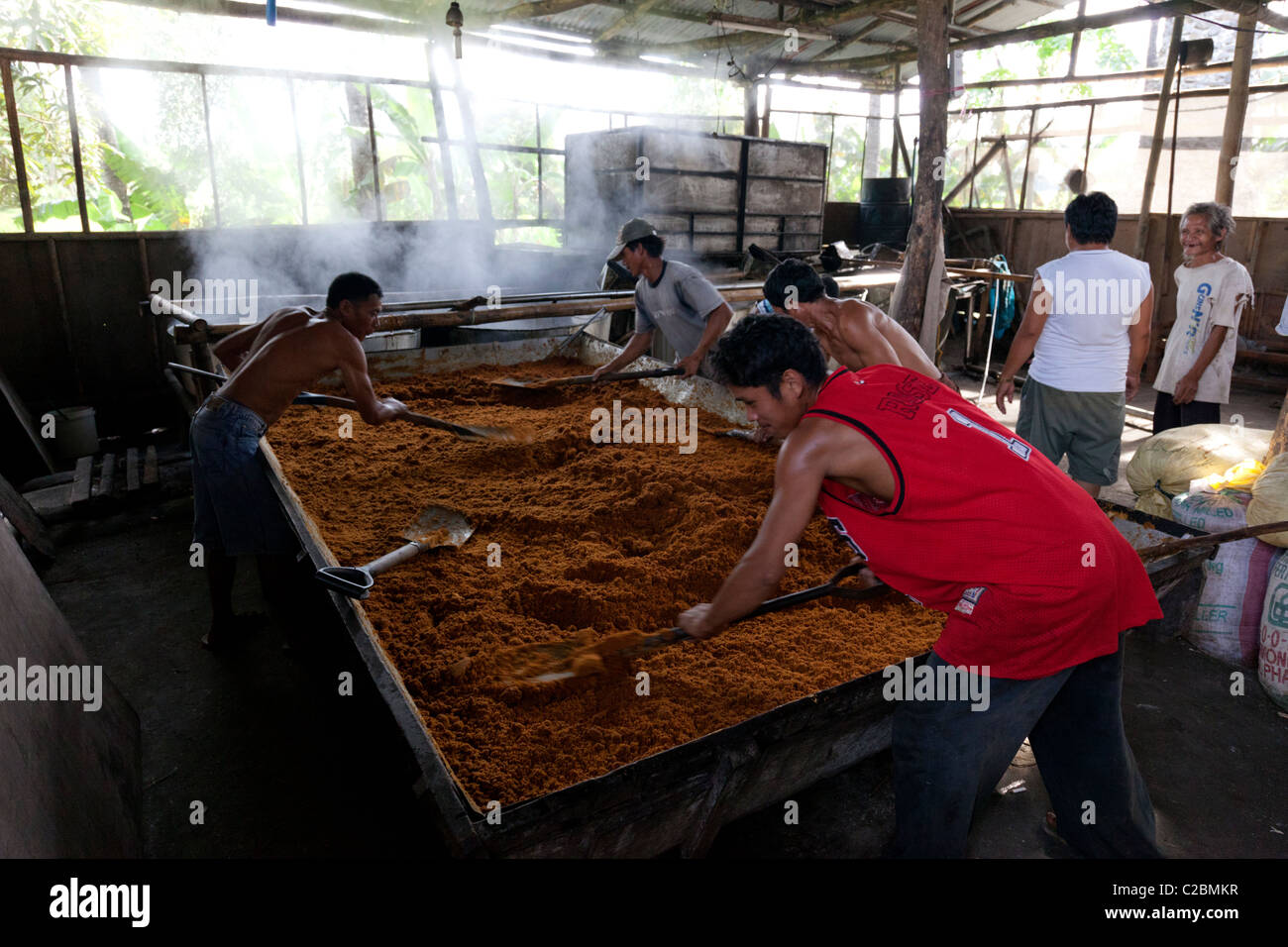 Lavoratori filippini di trasformazione dello zucchero Muscovado a uno zucchero mulino. Nelle Filippine Foto Stock