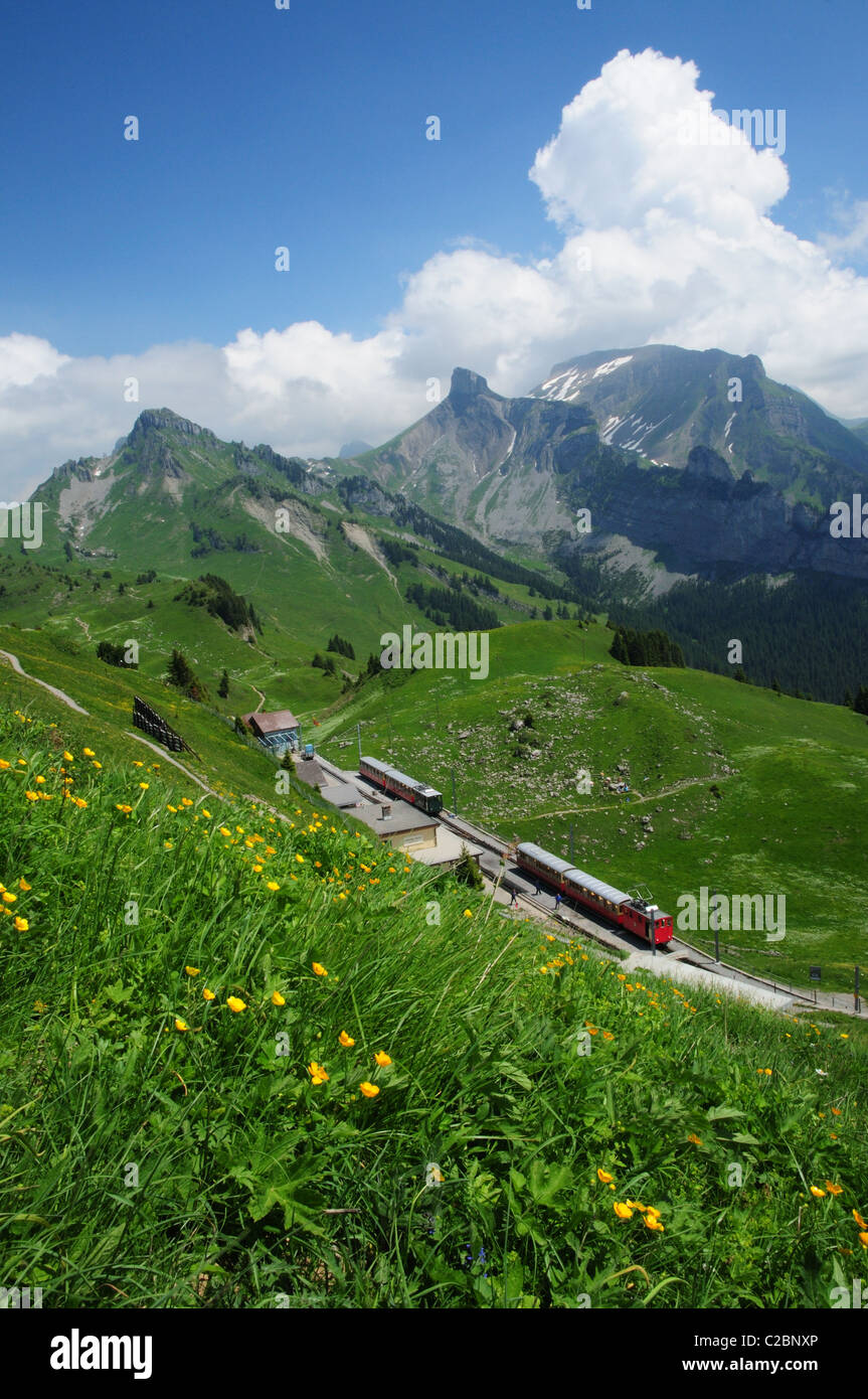 Schynige Platte Oberland Bernese Svizzera treno in montagna Foto Stock