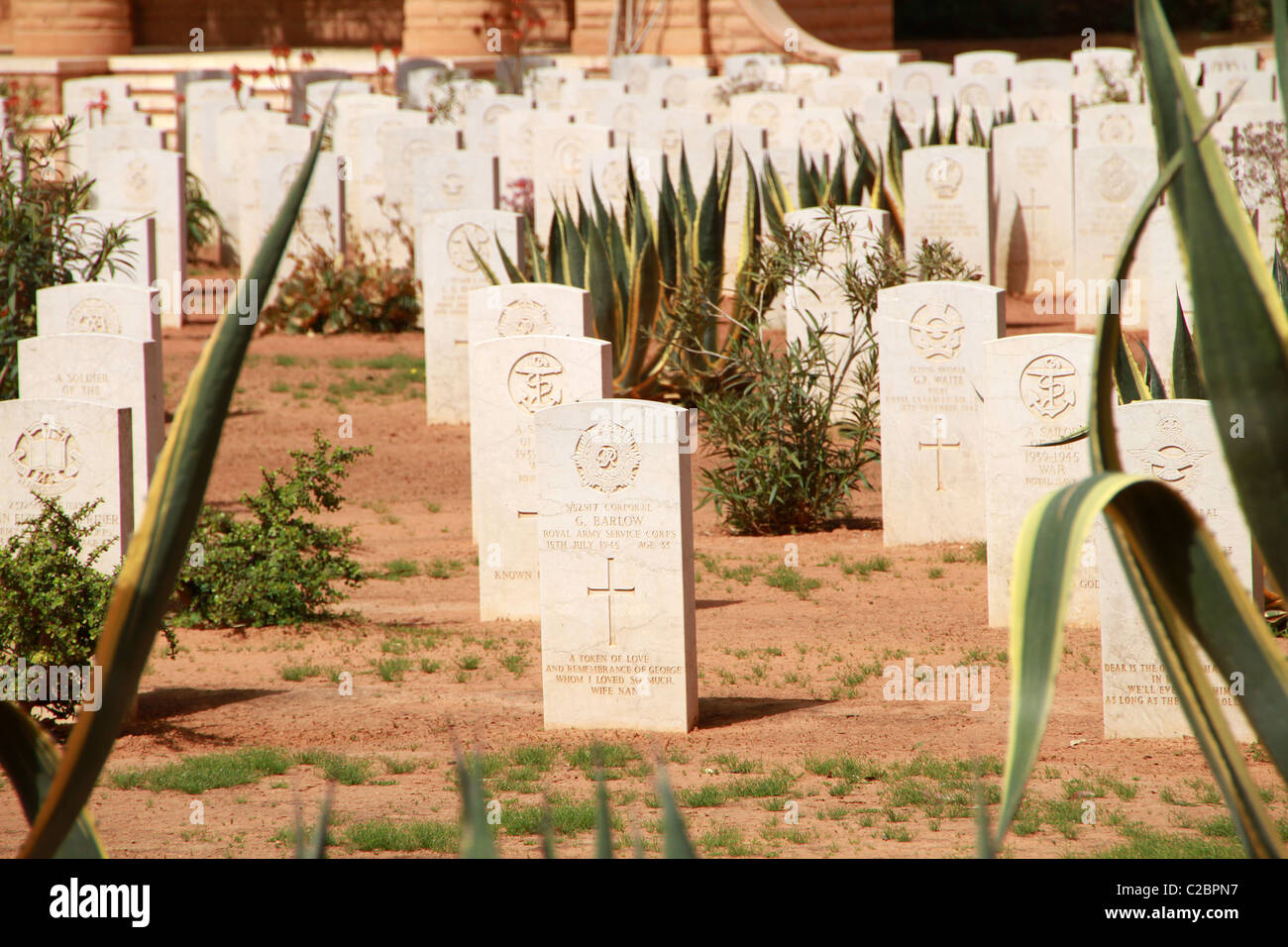 Bengasi Cimitero di Guerra, Libia Foto Stock