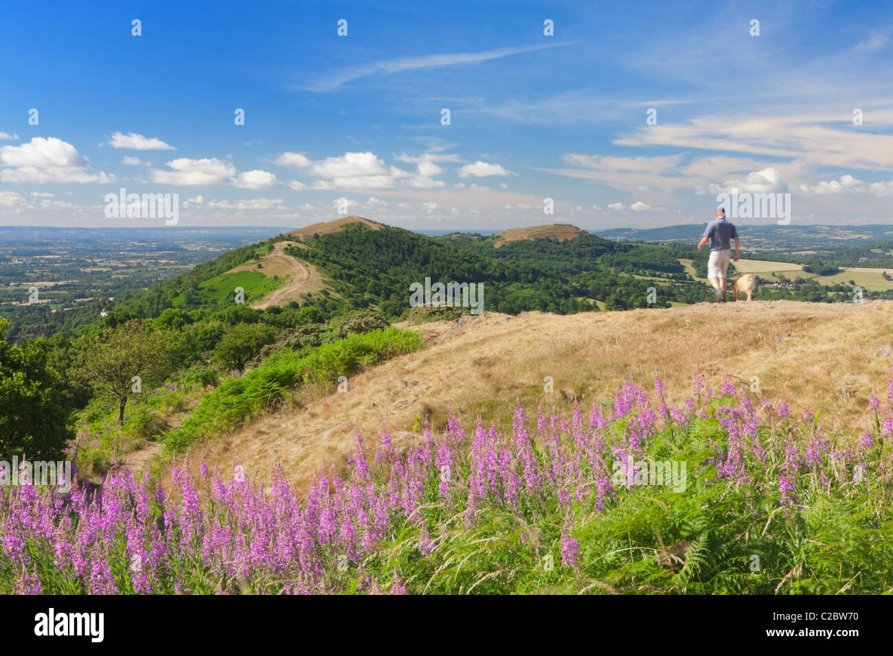 Il Malvern Hills; Worcestershire; Cotswolds; Inghilterra Foto Stock