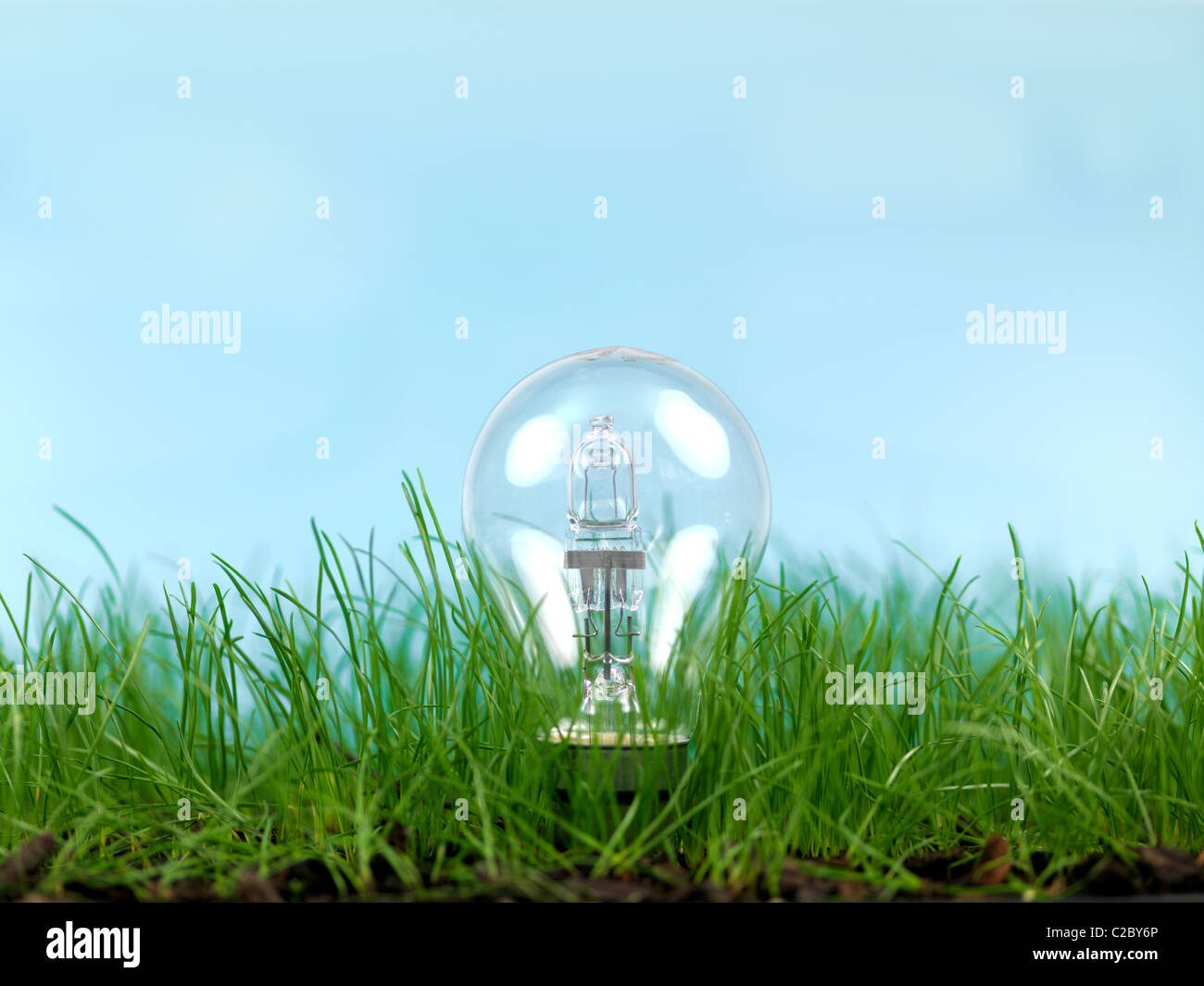 Erba verde e una lampadina isolata contro un cielo blu Foto Stock