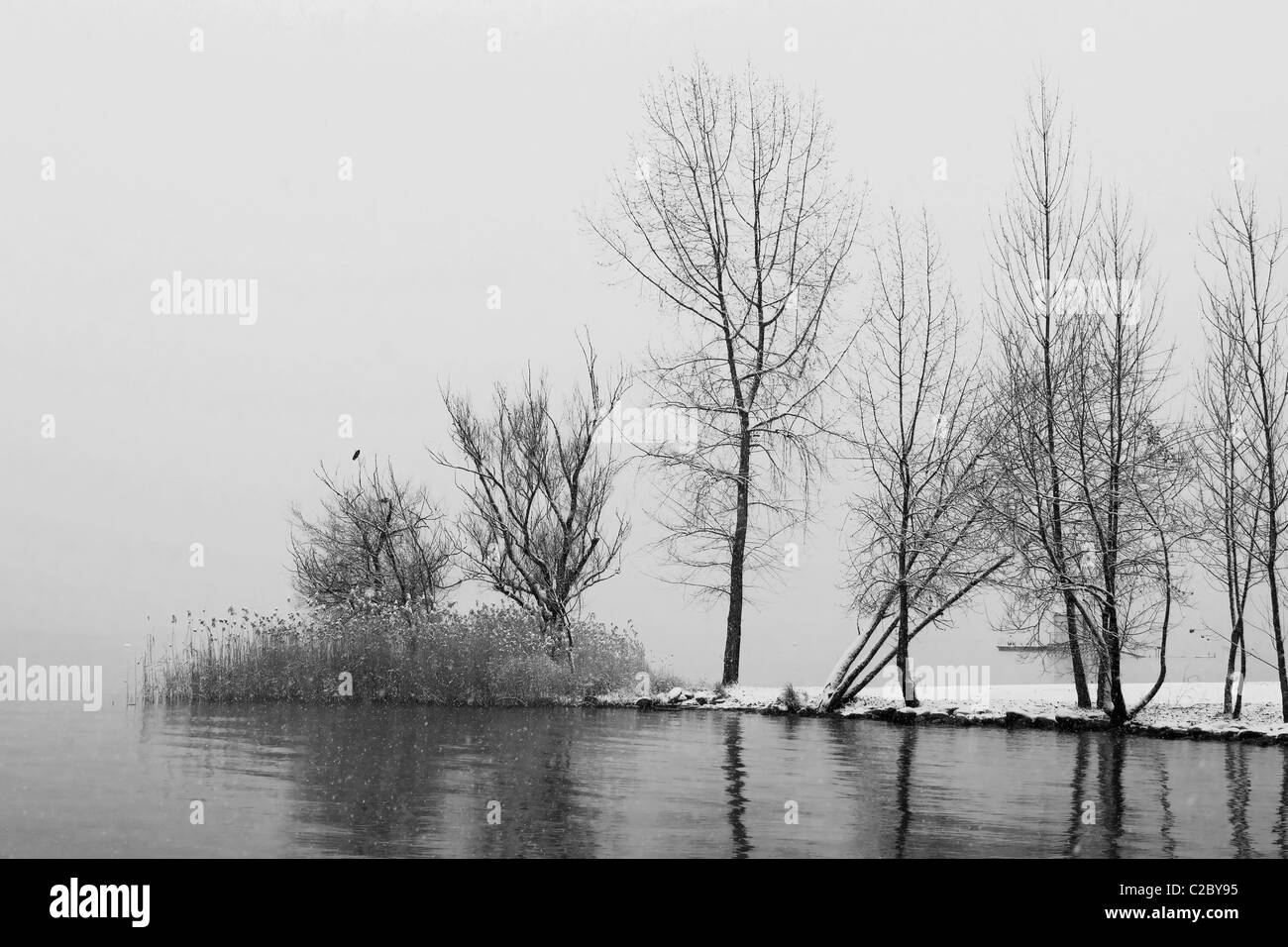 Inverno in Ticino Foto Stock