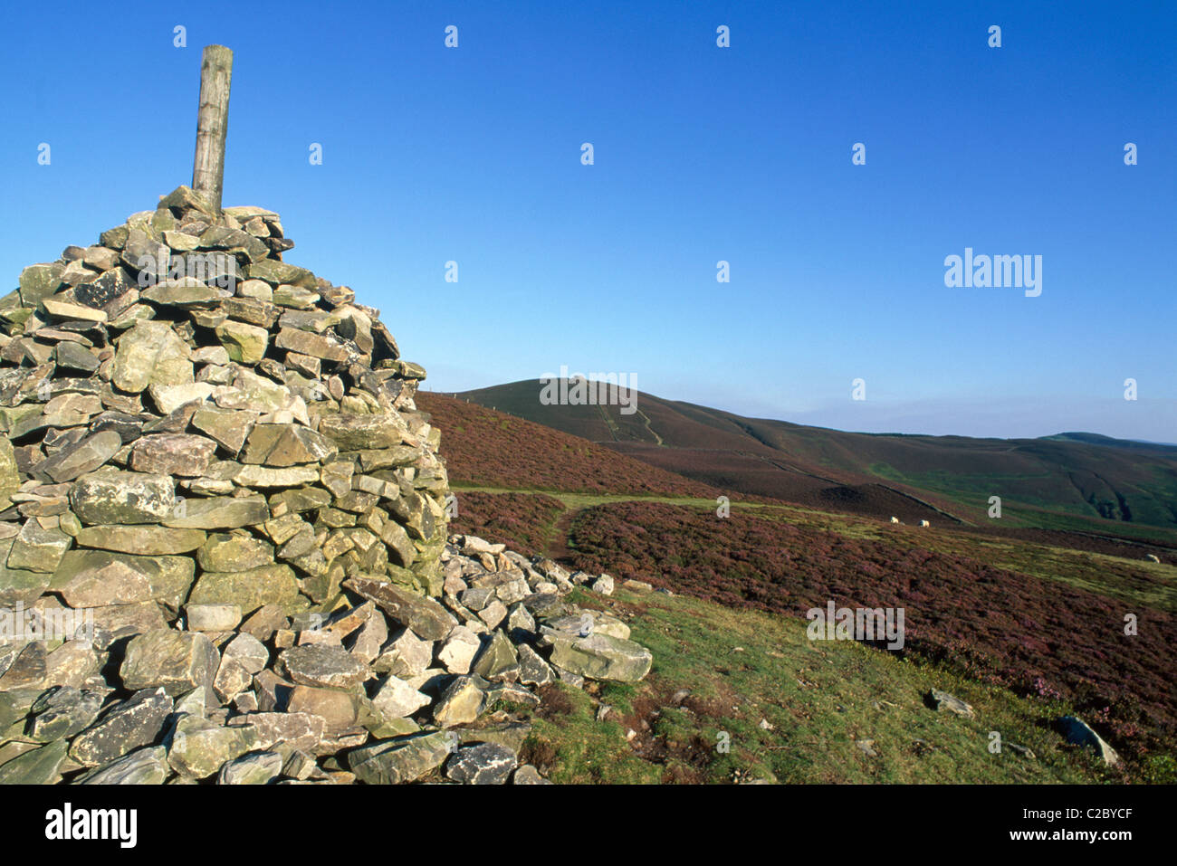 Moel Famau Park Denbighshire Galles Foto Stock