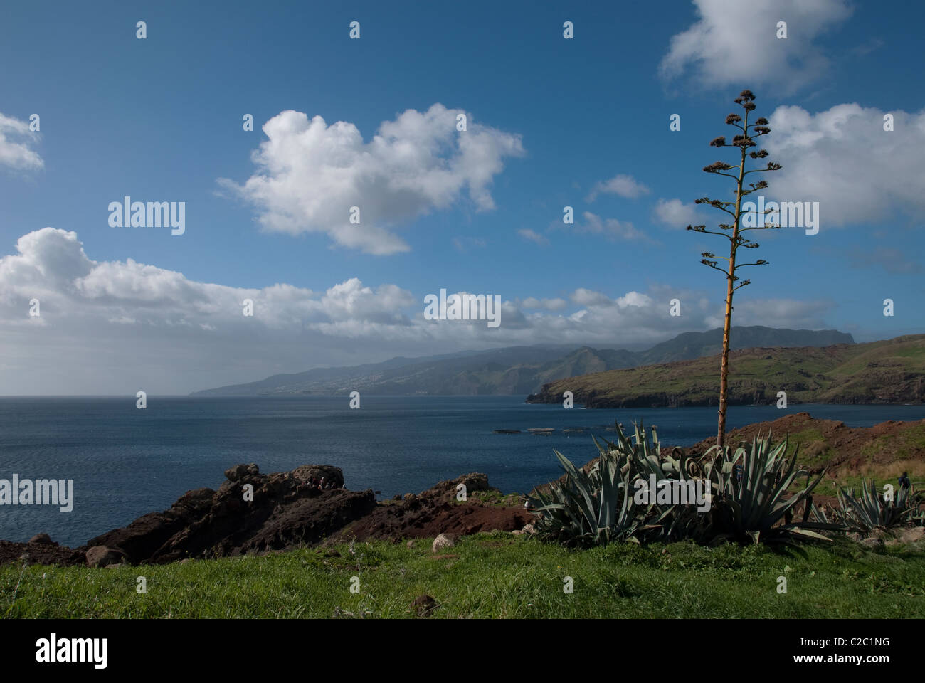 Sao Laurenco Penisola di Madera Foto Stock