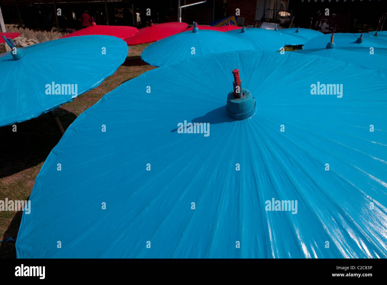 Ombrello coloratissimo sotto la luce del sole per asciugare in Bo Sang ombrello fare fabbrica. Sankamphaeng, Chiang Mai, Thailandia Foto Stock Ombrello coloratissimo sotto la luce del sole per asciugare in Bo Sang ombrello fare fabbrica. Sankamphaeng, Chiang Mai, Thailandia Foto Stock