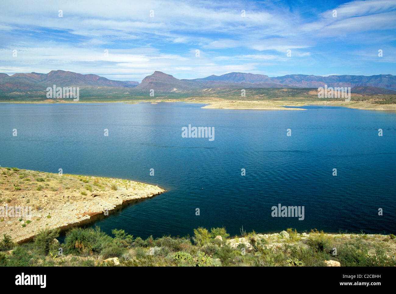 Theodore Roosevelt Lake, Roosevelt, Gila County, Arizona, Stati Uniti Foto Stock