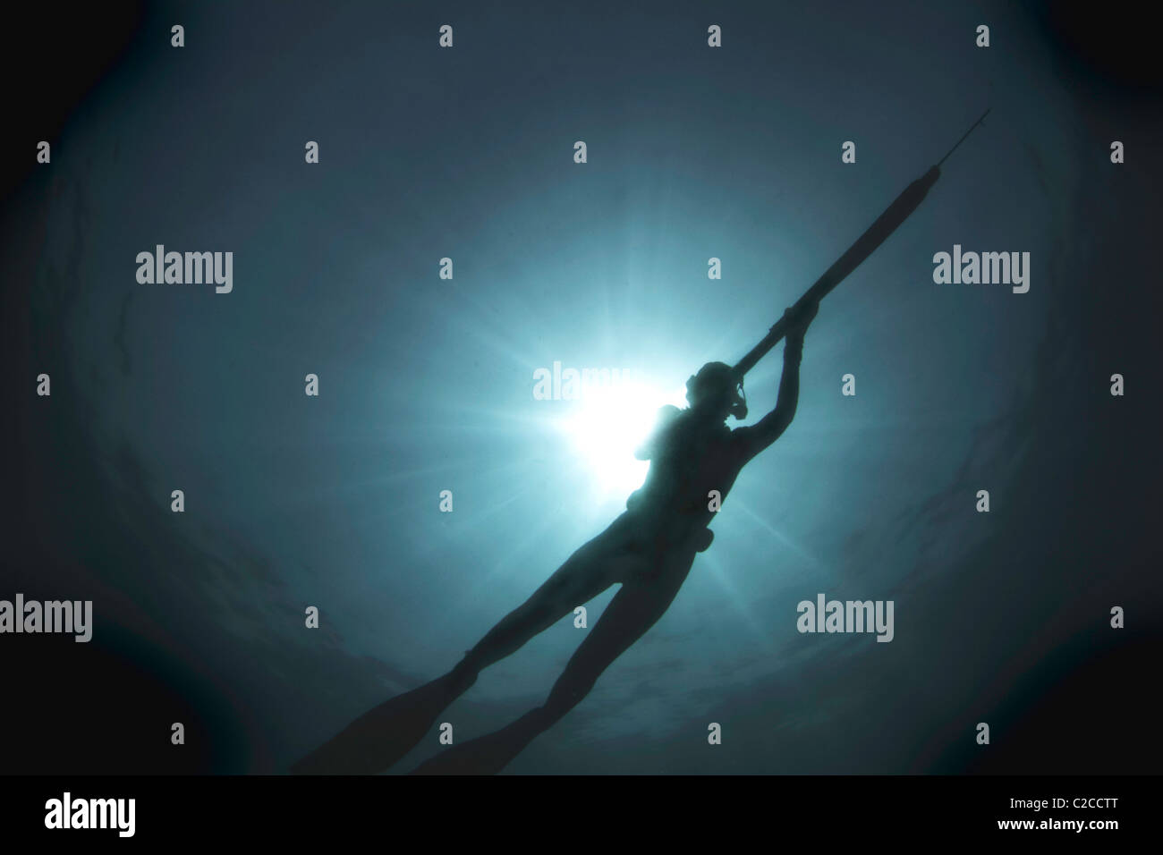 Pesca subacquea. caccia subacquea nella Grande Barriera Corallina. Foto Stock