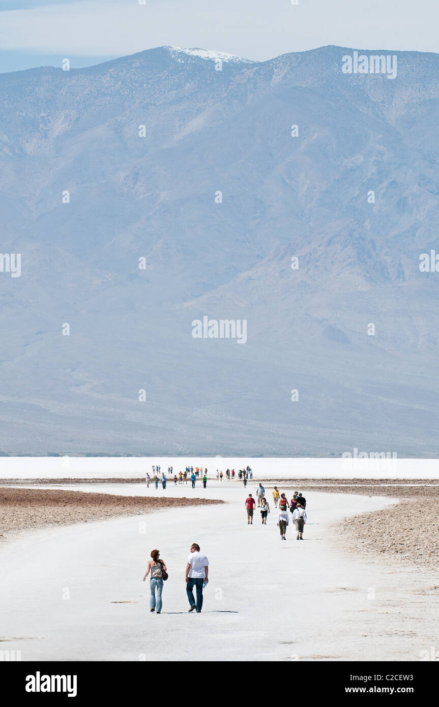 In California. Saline vicino bacino Badwater, Parco Nazionale della Valle della Morte. Foto Stock
