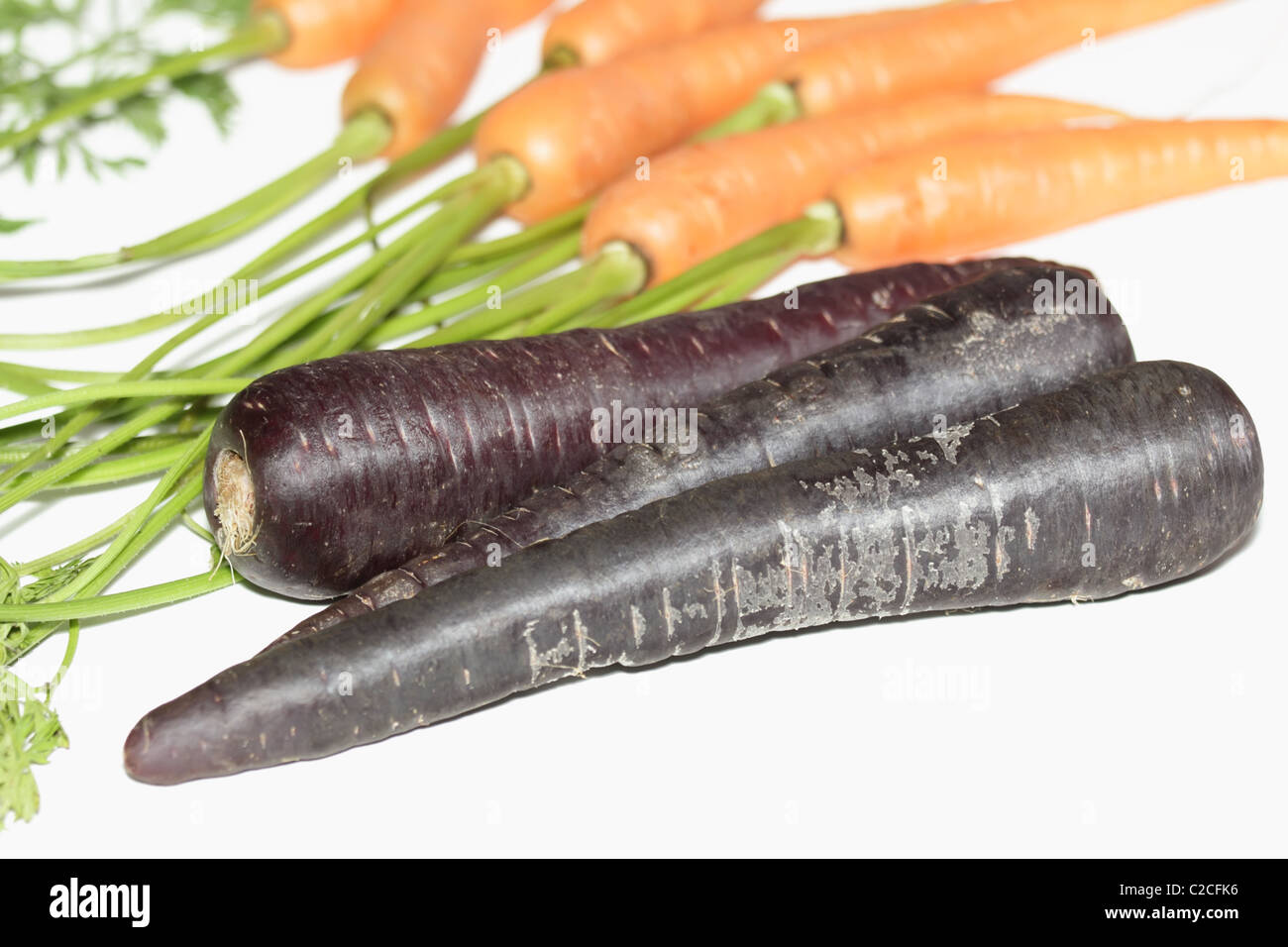 Carota viola come il nuovo Super Foto Stock