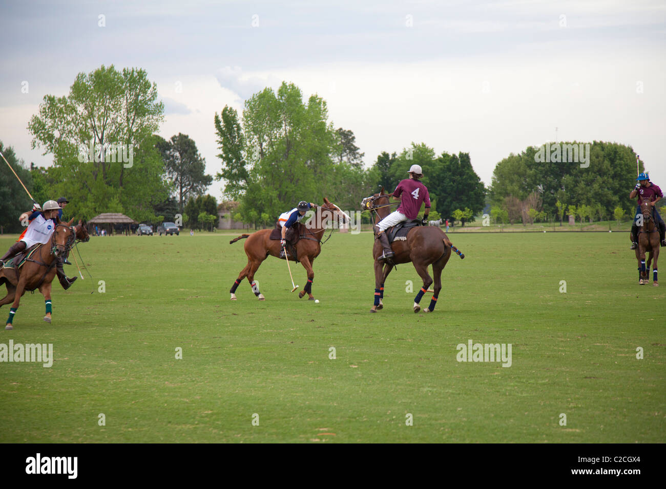 Polo Espositivo match vicino a Buenos Aires, Argentina Foto Stock