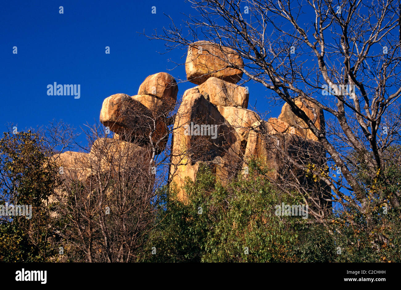 Colline di Matobo Zimbabwe Foto Stock