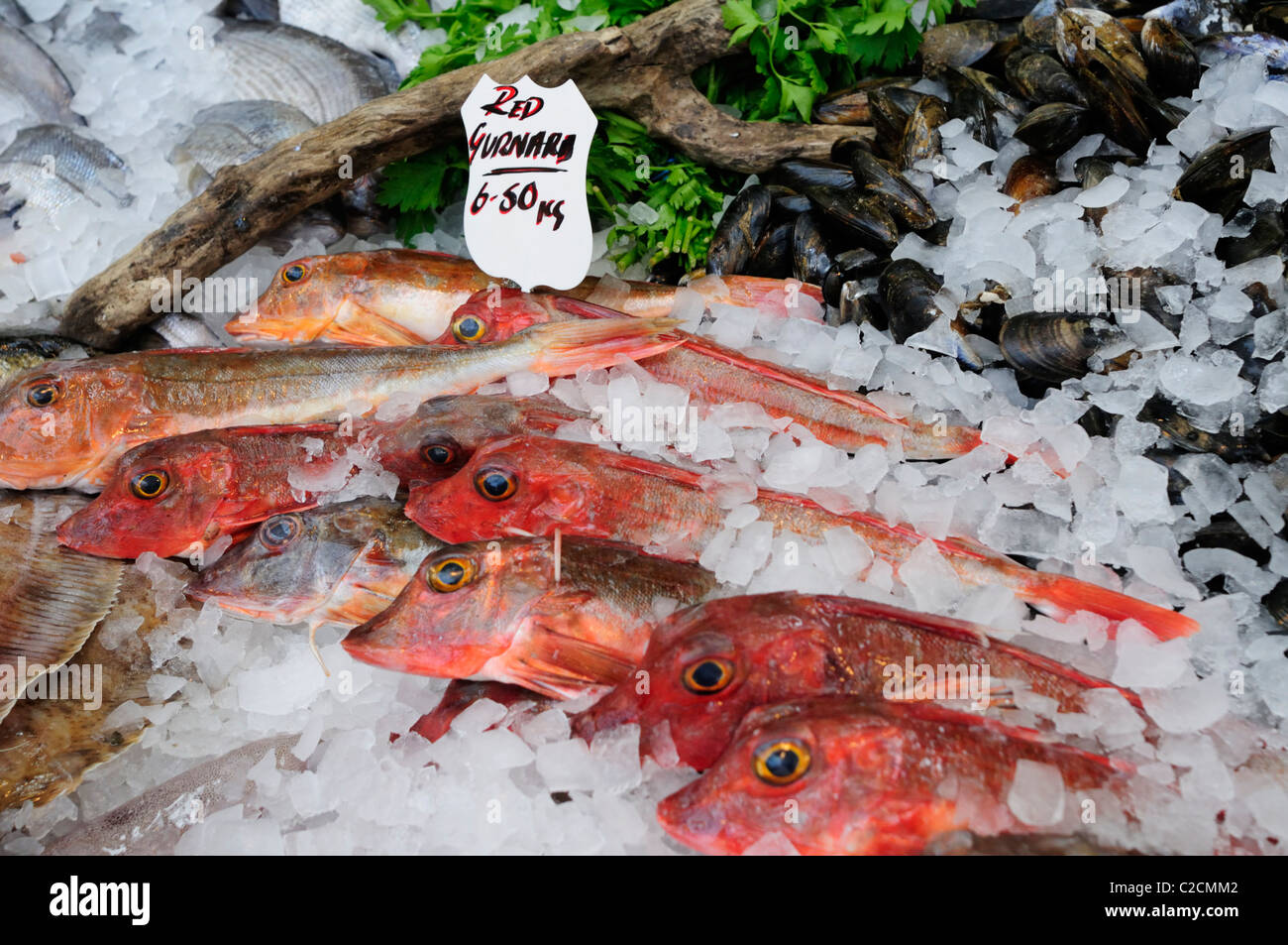 Cappone rosso su una pescivendoli stallo a Borough Market, Southwark, Londra, Inghilterra, Regno Unito Foto Stock