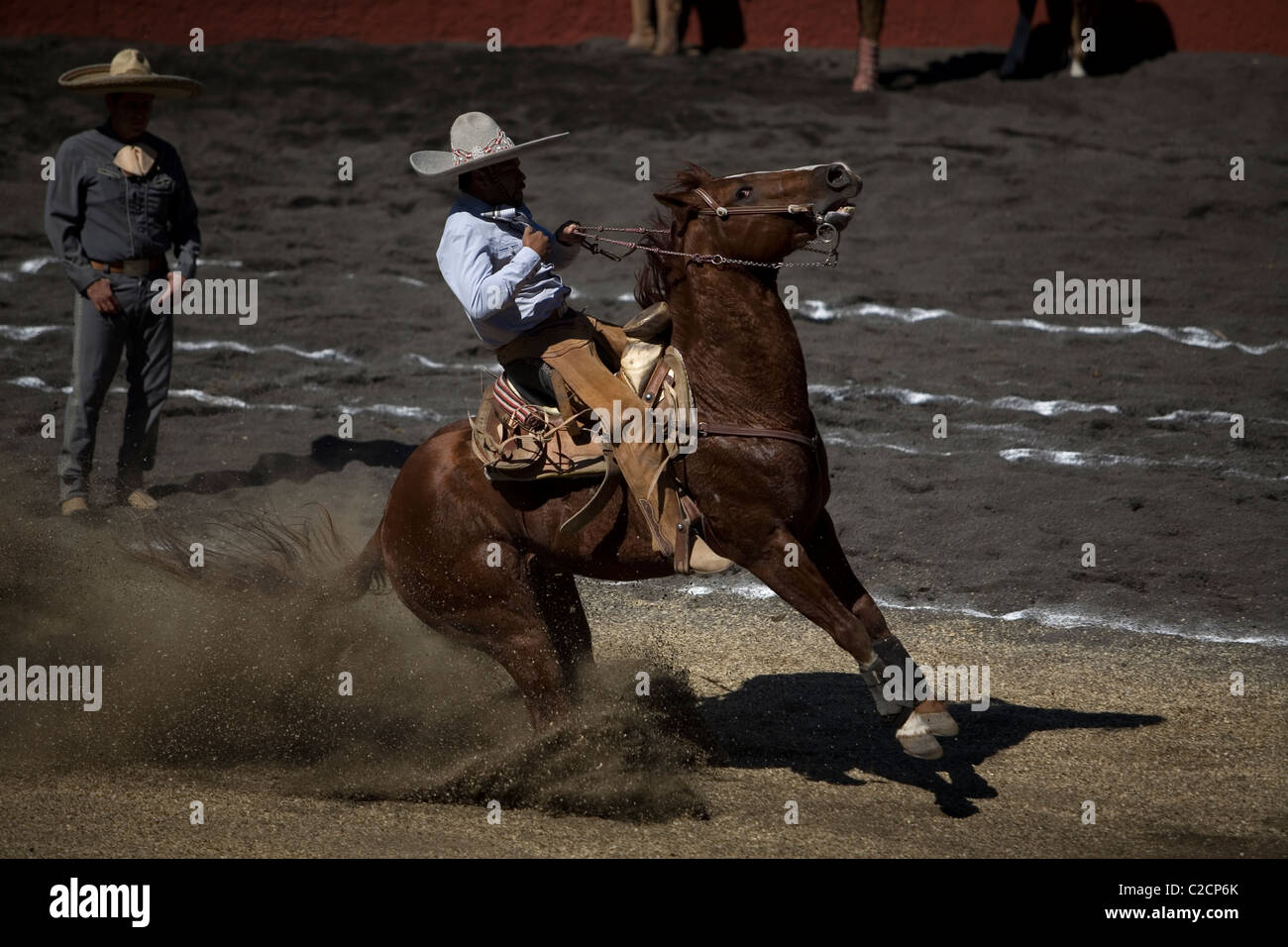 Un messicano charro cavalca il suo cavallo a un charreria (equitazione) Concorrenza in Città del Messico Foto Stock