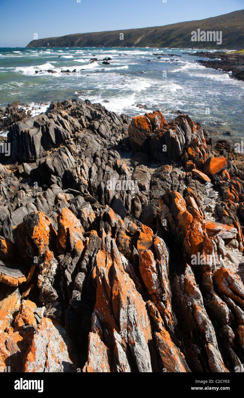 Il rame Cove in Narawntapu National Park Foto Stock