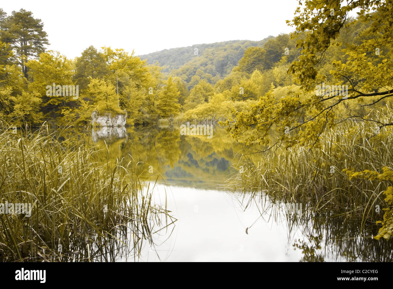 Il Parco Nazionale dei laghi di Plitvice Foto Stock