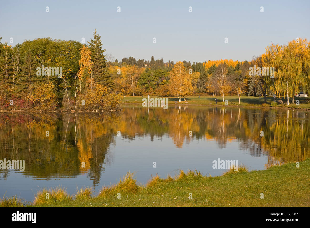 Hawrelak Park, Edmonton, Alberta, Canada; vista degli alberi di autunno Foto Stock