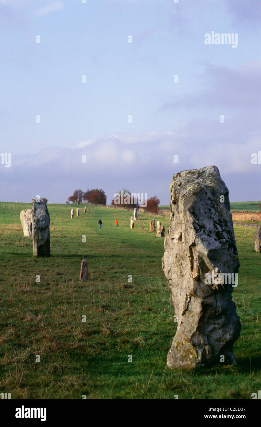 Le Pietre di Avebury Wiltshire, Inghilterra Foto Stock