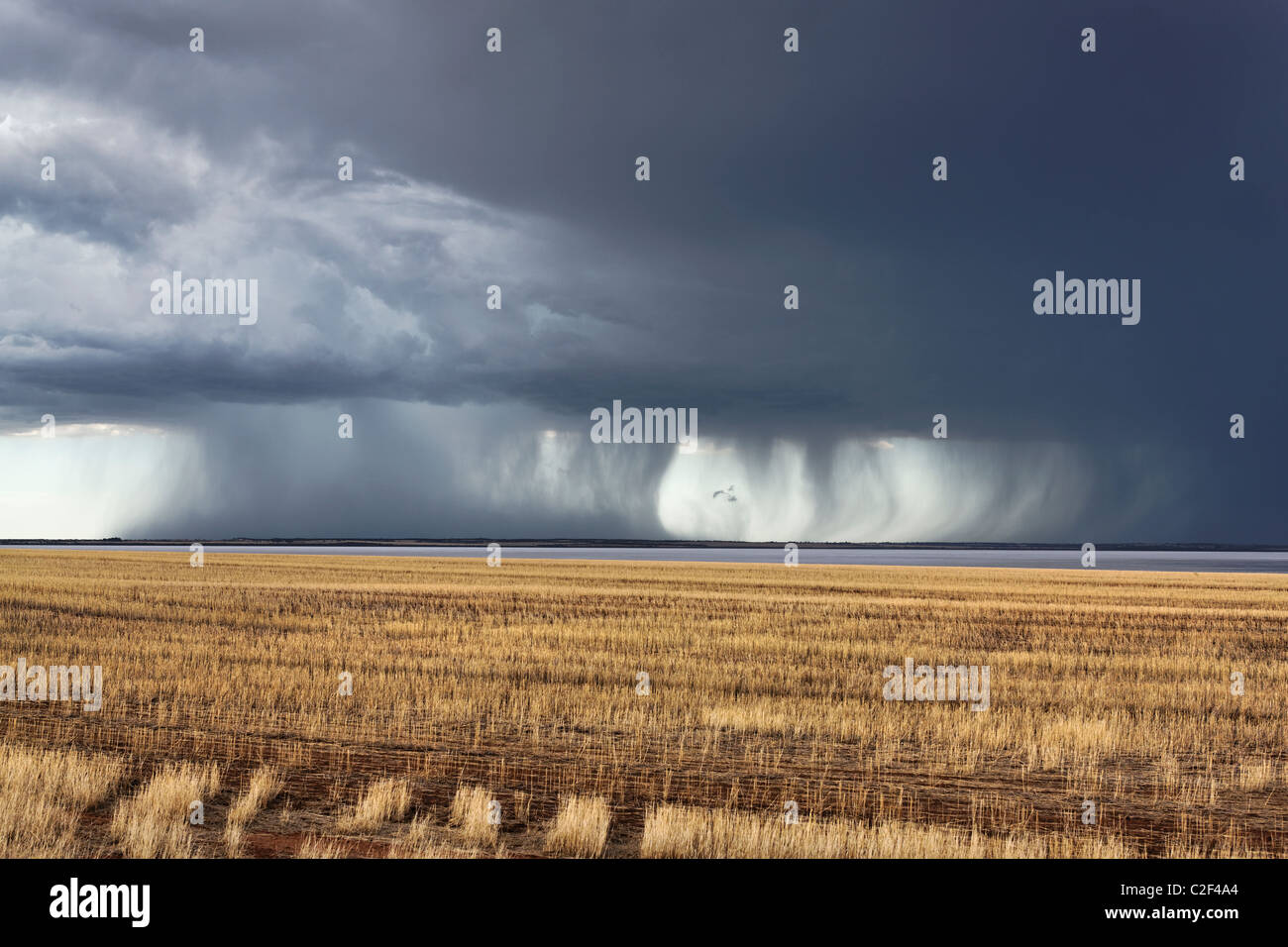 Tempesta su terreni agricoli e Yarra Yarra Lago, Carnamah Australia Occidentale Foto Stock