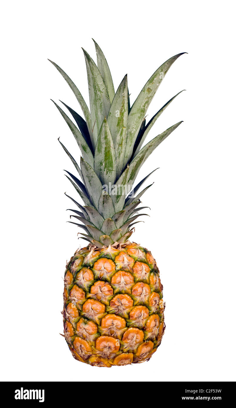 Ananas intero isolato su uno sfondo bianco Foto Stock