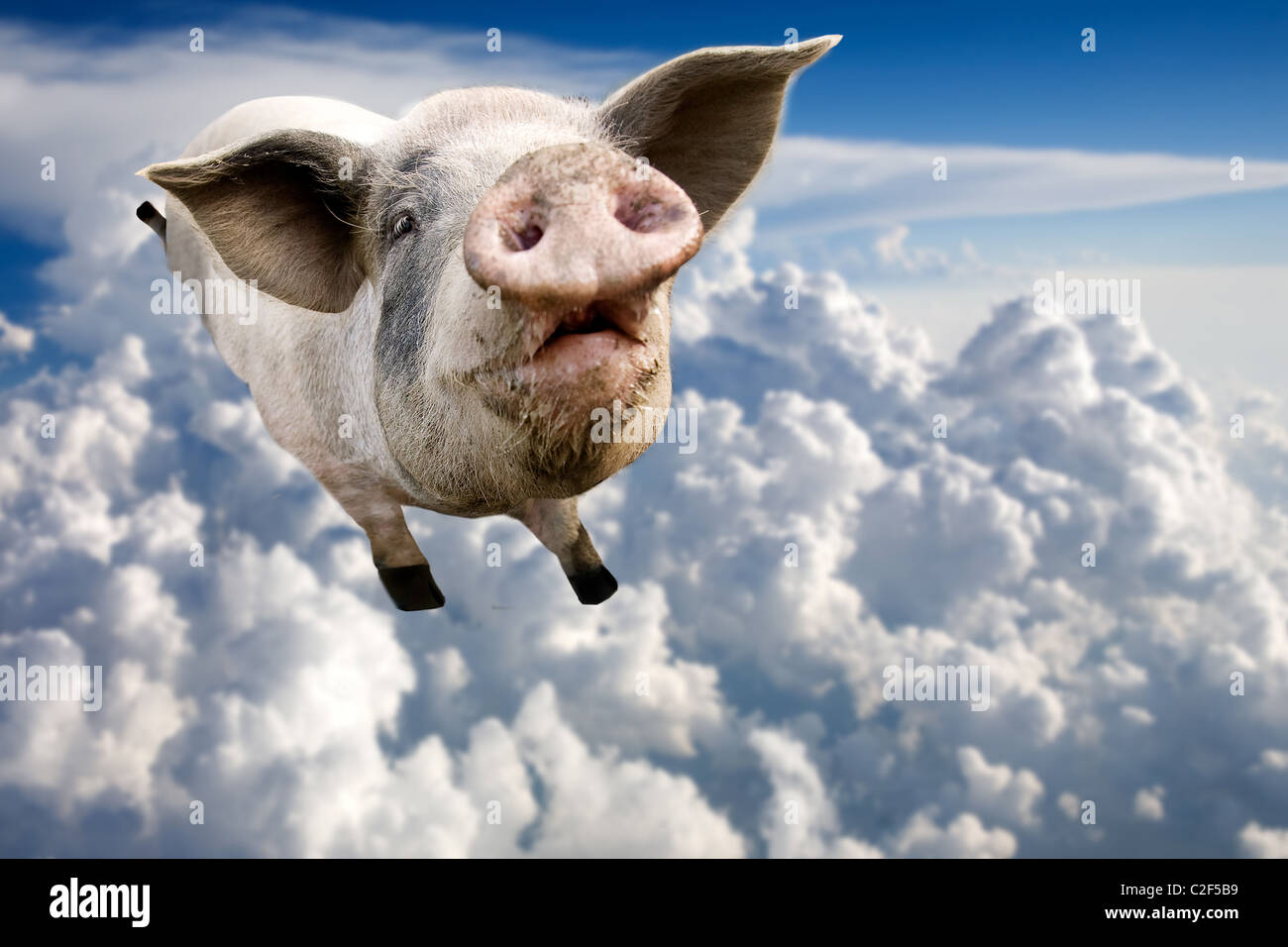 Un maiale volare attraverso le nuvole nel cielo Foto Stock